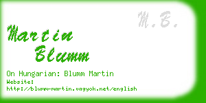 martin blumm business card